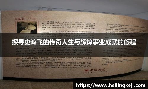 yy易游探寻史鸿飞的传奇人生与辉煌事业成就的旅程